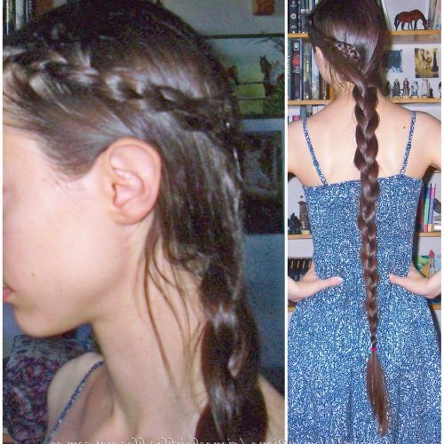 Three Strand Long Side Braided Hairstyles (Photo 9 of 20)