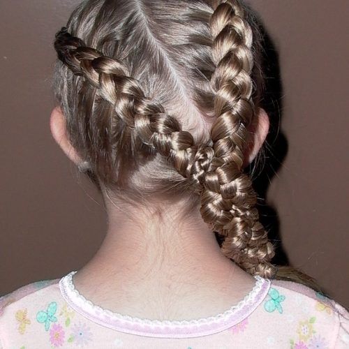 Triple The Braids Hairstyles (Photo 12 of 15)