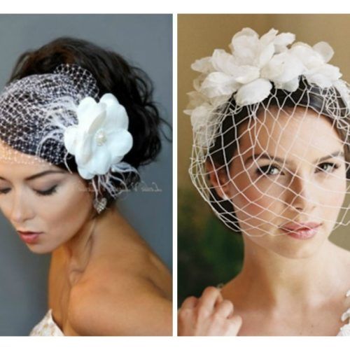 Wedding Hairstyles For Long Hair With Birdcage Veil (Photo 13 of 15)