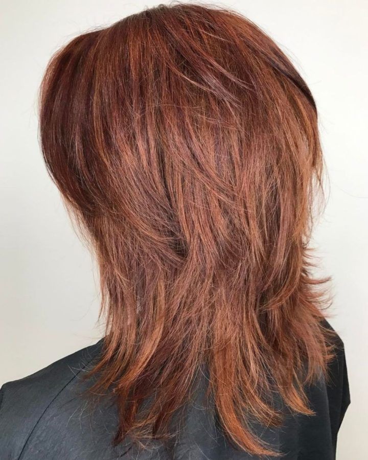 2024 Latest Wispy Layered Hairstyles in Spicy Color