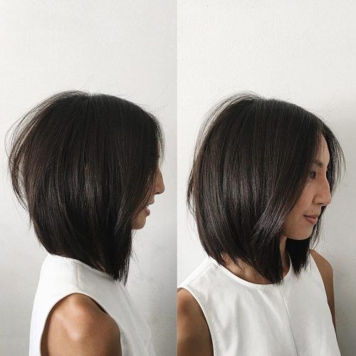 Straight Textured Angled Bronde Bob Hairstyles (Photo 9 of 20)