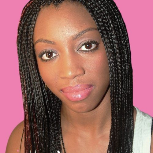 Singles Braided Hairstyles (Photo 6 of 15)