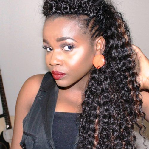 Twist Curl Mohawk Hairstyles (Photo 16 of 20)