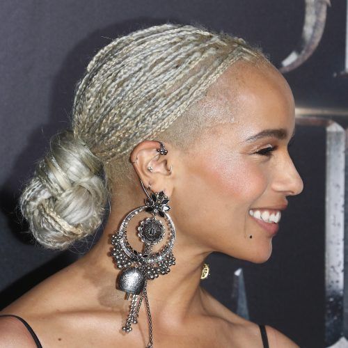 Shaved Platinum Hairstyles With Micro Braids (Photo 12 of 20)