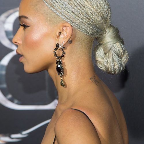 Shaved Platinum Hairstyles With Micro Braids (Photo 8 of 20)